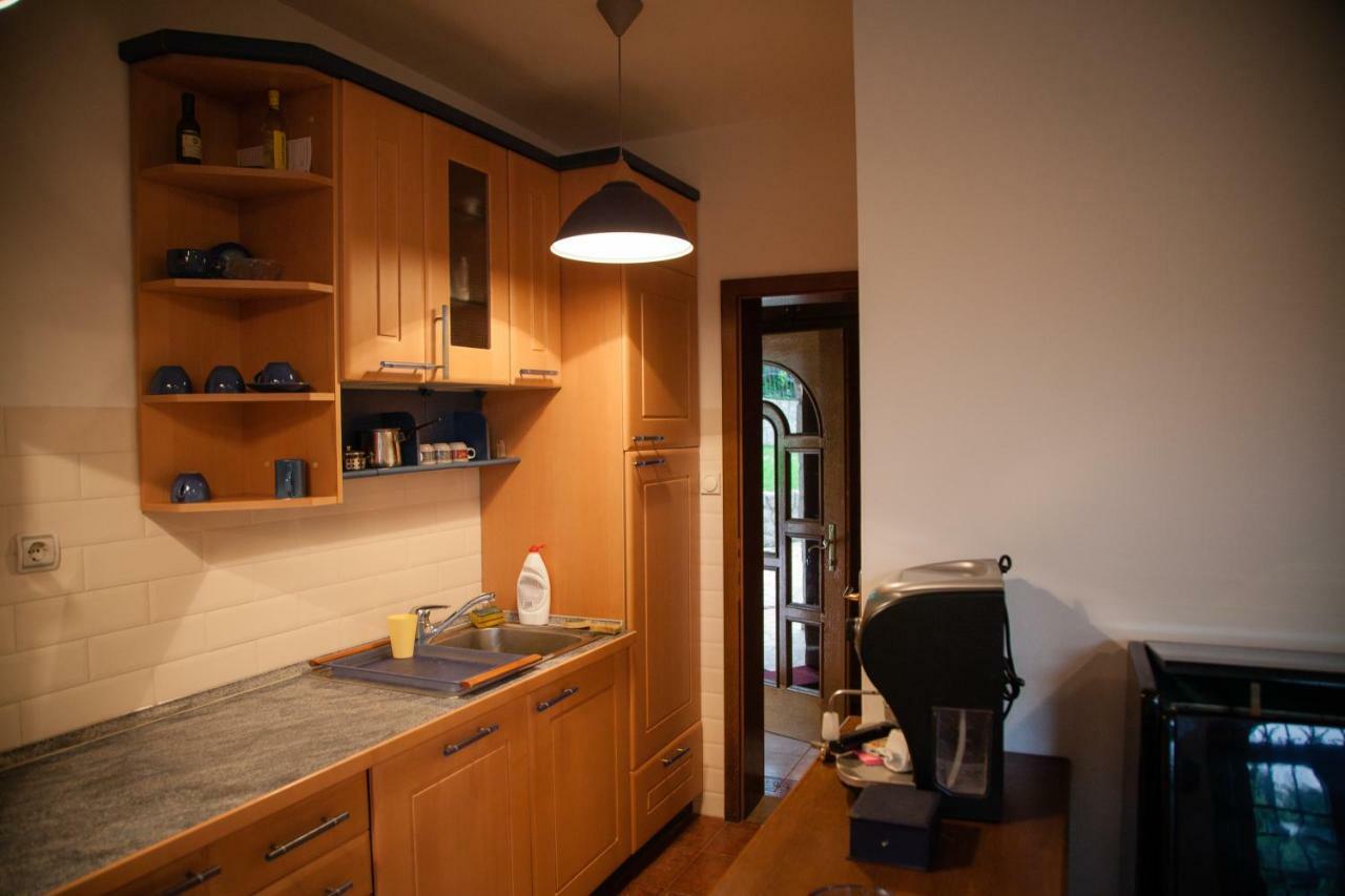 Вилла Exclusive House Legacy Смедерево Экстерьер фото